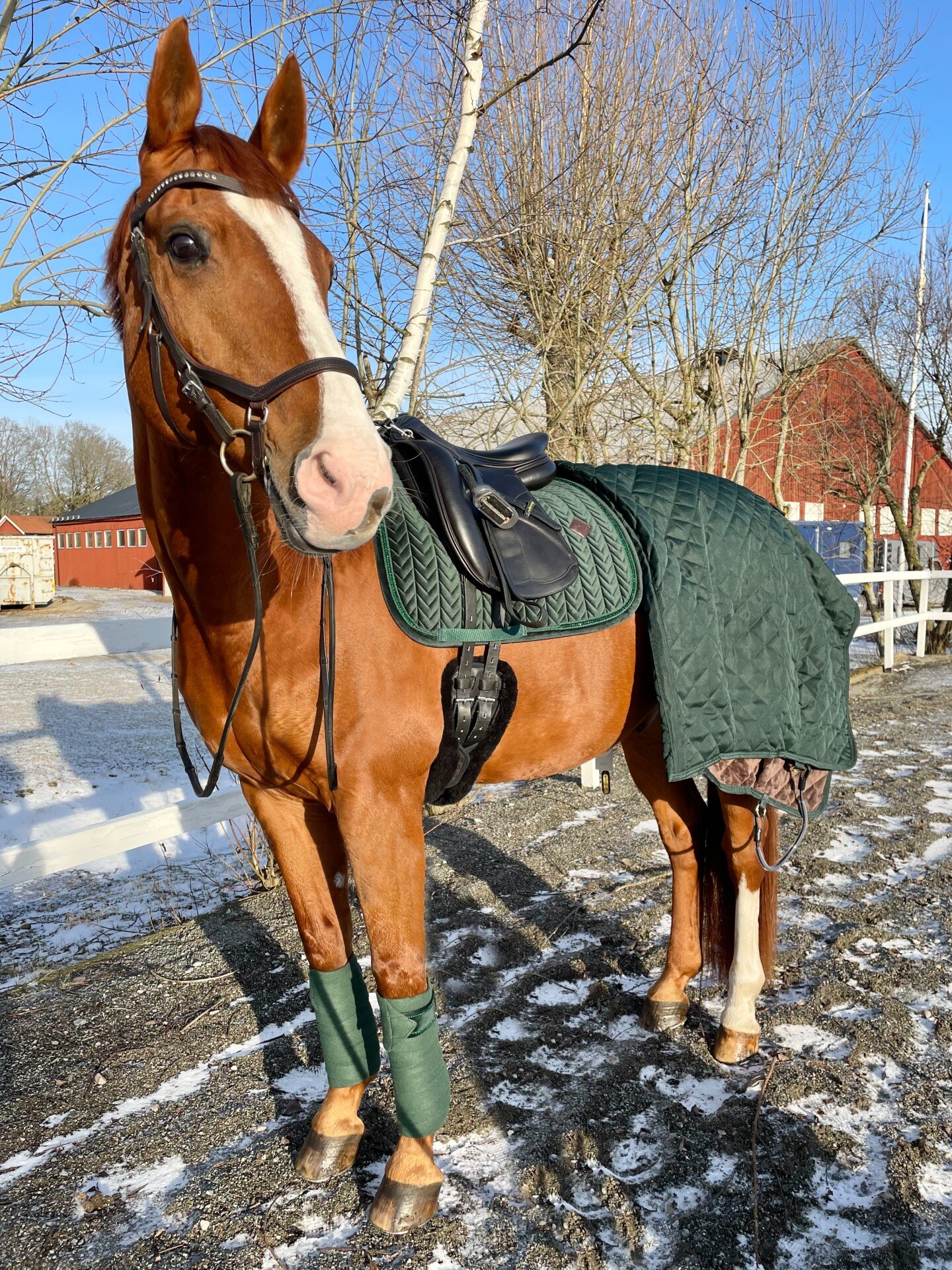 https://www.hogstafoderbutik.se/pub_docs/files/ShoppaLooken/image000029.jpg