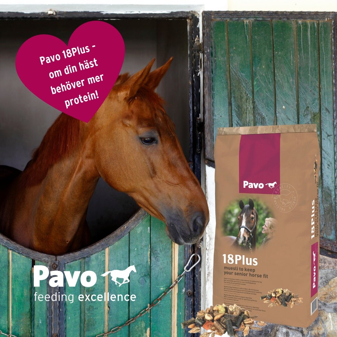 https://www.hogstafoderbutik.se/pub_docs/files/SwekanalenFlightAug2023/Pavo-18plus.jpg