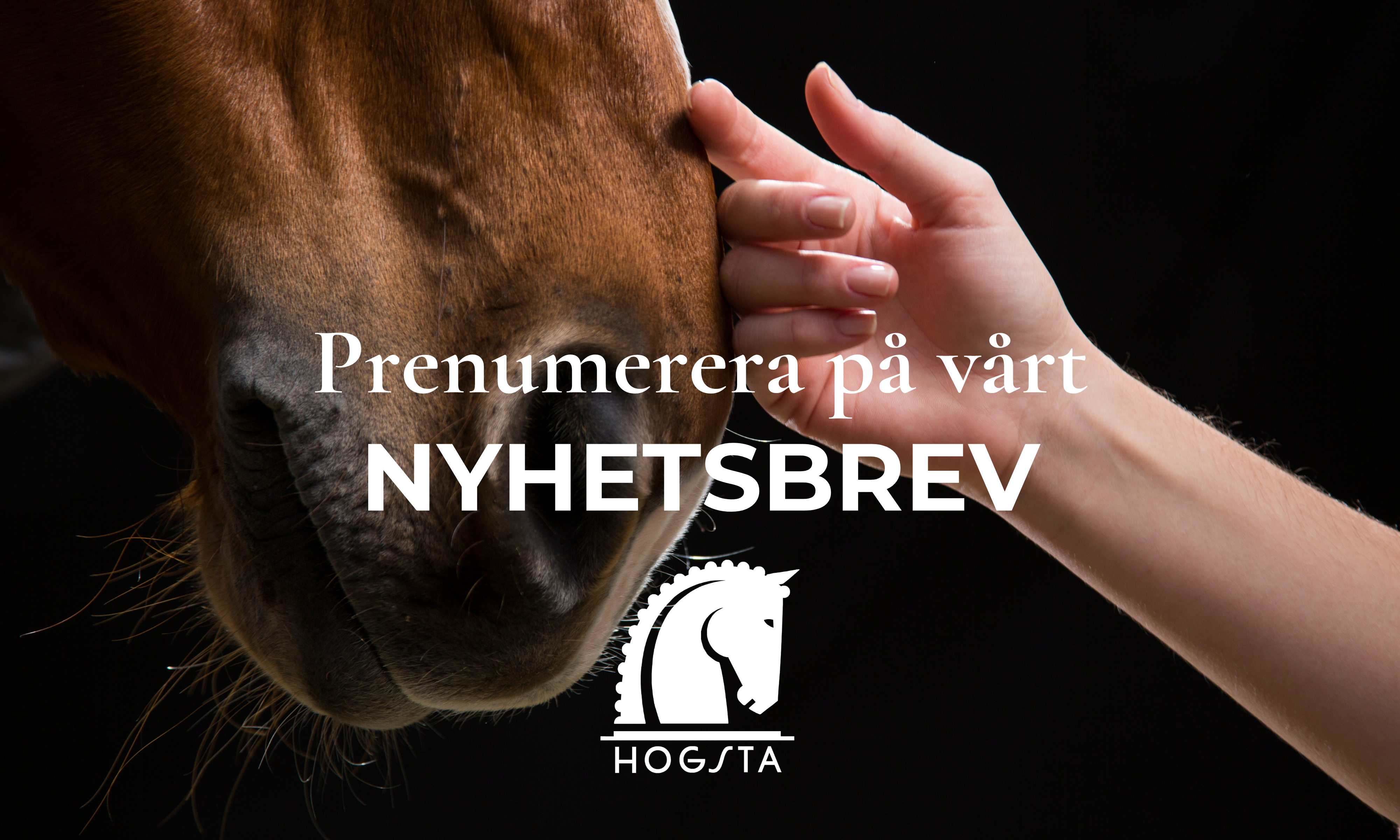 https://www.hogstafoderbutik.se/pub_docs/files/SwekanalenFlightAug2023/Prenumerera-på-nyhetsbrev.png