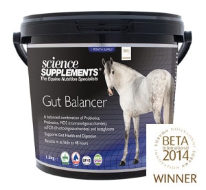 Gut Balancer - 1,5 kg