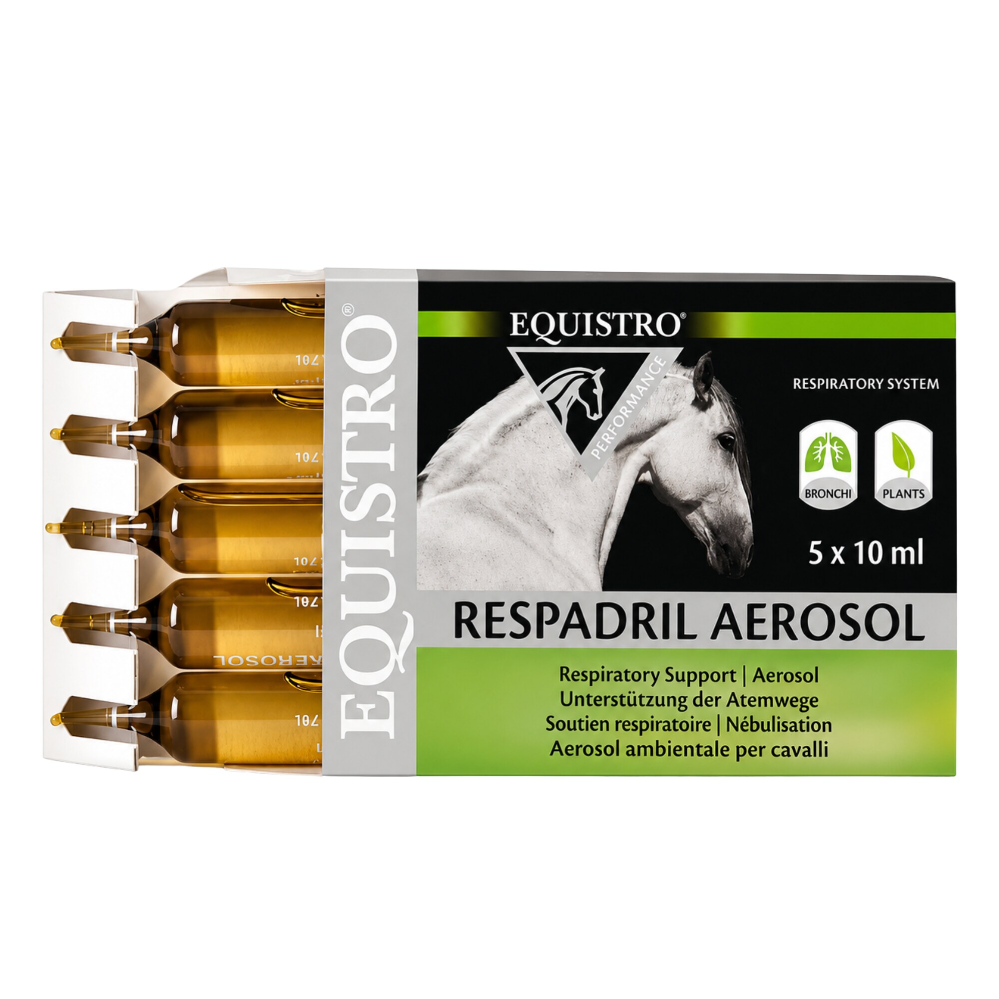 Respadril Aerosol - 5x10 ml