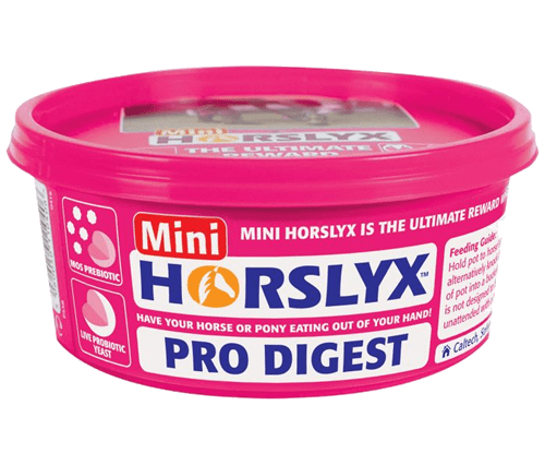 Horslyx Slicksten - Pro Digest Balancer