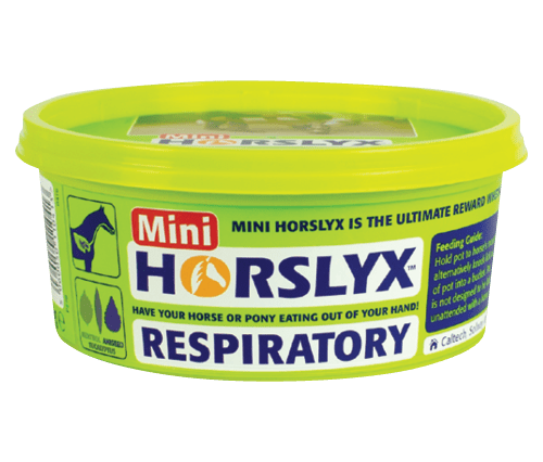 Horslyx Slicksten - Respiratory