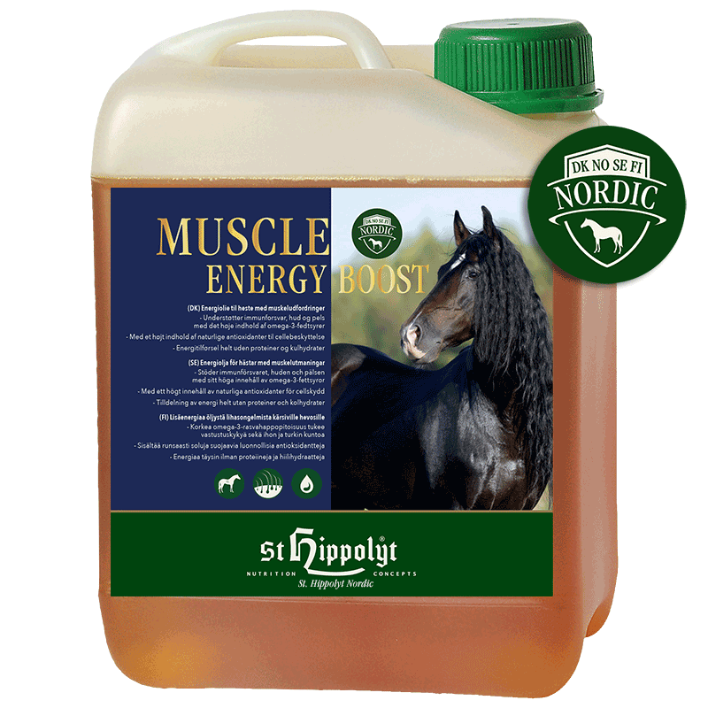 Muscle Energy Boost - 2,5 l