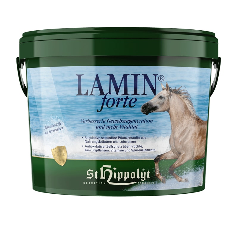 Lamin Forte 3 kg från St Hippolyt. Hogsta Ridsport.